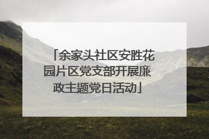 余家头社区安胜花园片区党支部开展廉政主题党日活动