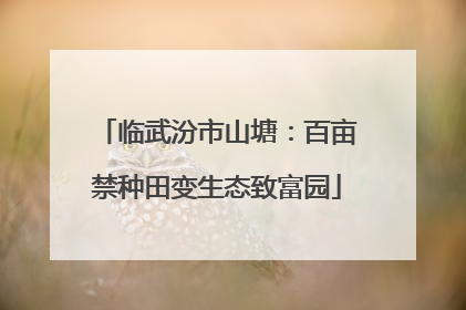 临武汾市山塘：百亩禁种田变生态致富园