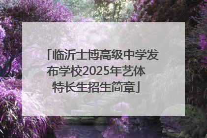 临沂士博高级中学发布学校2025年艺体特长生招生简章