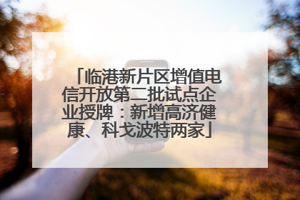 临港新片区增值电信开放第二批试点企业授牌：新增高济健康、科戈波特两家