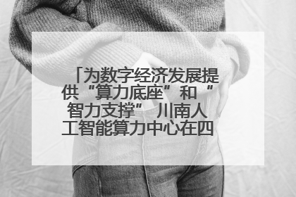 为数字经济发展提供“算力底座”和“智力支撑” 川南人工智能算力中心在四川泸州启动