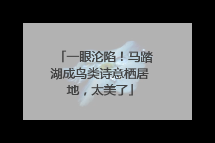 一眼沦陷！马踏湖成鸟类诗意栖居地，太美了