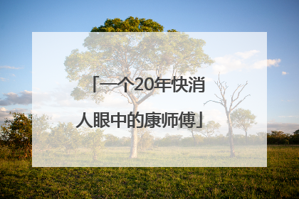 一个20年快消人眼中的康师傅