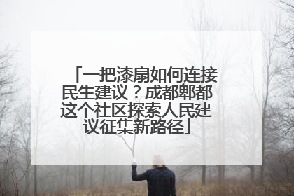 一把漆扇如何连接民生建议？成都郫都这个社区探索人民建议征集新路径