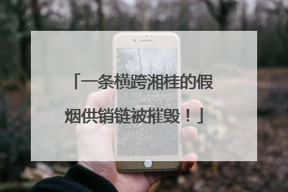 一条横跨湘桂的假烟供销链被摧毁！