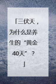 三伏天，为什么是养生的“黄金40天”？