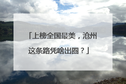 上榜全国最美，沧州这条路凭啥出圈？