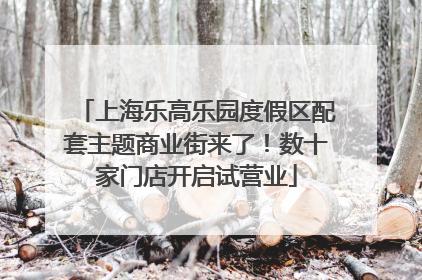 上海乐高乐园度假区配套主题商业街来了！数十家门店开启试营业
