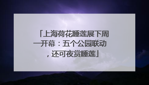 上海荷花睡莲展下周一开幕：五个公园联动，还可夜赏睡莲