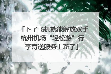 下了飞机就能解放双手 杭州机场“轻松游”行李寄送服务上新了