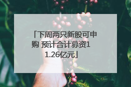 下周两只新股可申购 预计合计募资11.26亿元