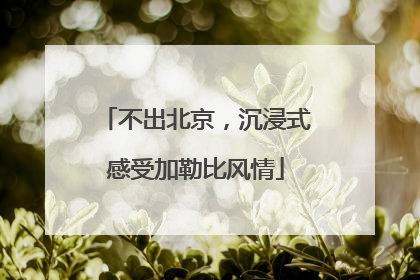 不出北京，沉浸式感受加勒比风情