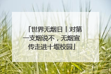 世界无烟日丨对第一支烟说不，无烟宣传走进十堰校园