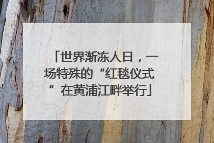 世界渐冻人日，一场特殊的“红毯仪式”在黄浦江畔举行