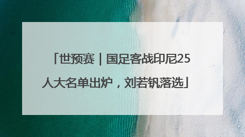 世预赛｜国足客战印尼25人大名单出炉，刘若钒落选