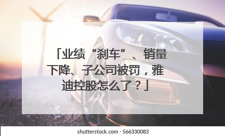 业绩“刹车”、销量下降、子公司被罚，雅迪控股怎么了？