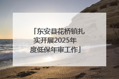 东安县花桥镇扎实开展2025年度低保年审工作