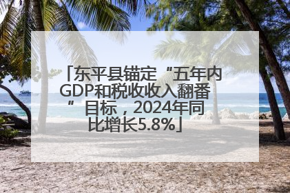 东平县锚定“五年内GDP和税收收入翻番”目标，2024年同比增长5.8%