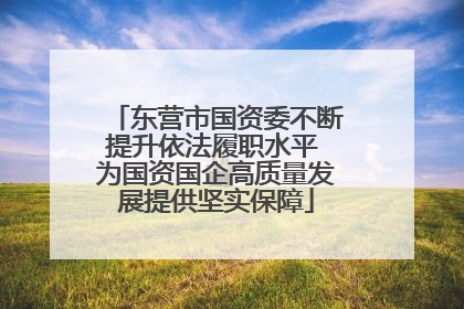 东营市国资委不断提升依法履职水平 为国资国企高质量发展提供坚实保障