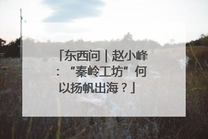 东西问｜赵小峰：“秦岭工坊”何以扬帆出海？