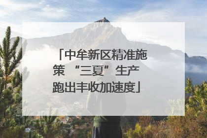 中牟新区精准施策 “三夏”生产跑出丰收加速度