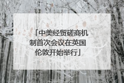 中美经贸磋商机制首次会议在英国伦敦开始举行