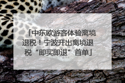 中东欧游客体验离境退税！宁波开出离境退税“即买即退”首单