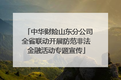 中华财险山东分公司全省联动开展防范非法金融活动专题宣传