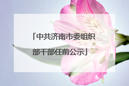 中共济南市委组织部干部任前公示