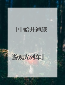 中哈开通旅游观光列车