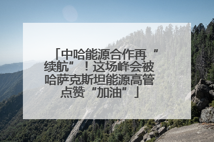 中哈能源合作再“续航”！这场峰会被哈萨克斯坦能源高管点赞“加油”