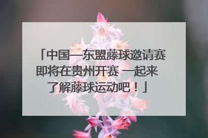 中国—东盟藤球邀请赛即将在贵州开赛 一起来了解藤球运动吧！