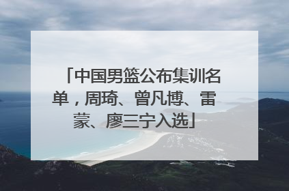 中国男篮公布集训名单，周琦、曾凡博、雷蒙、廖三宁入选