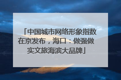 中国城市网络形象指数在京发布，海口：做强做实文旅海滨大品牌