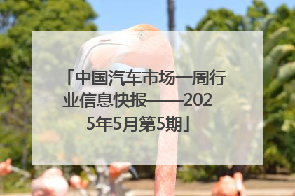 中国汽车市场一周行业信息快报——2025年5月第5期