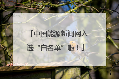 中国能源新闻网入选“白名单”啦！