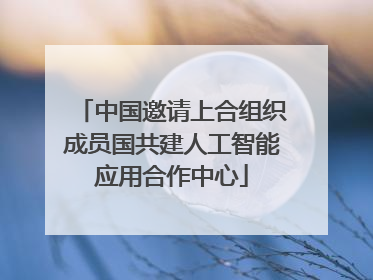 中国邀请上合组织成员国共建人工智能应用合作中心