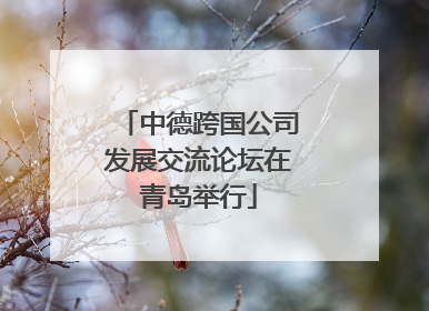 中德跨国公司发展交流论坛在青岛举行