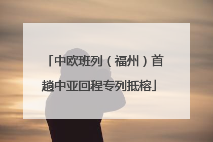 中欧班列（福州）首趟中亚回程专列抵榕