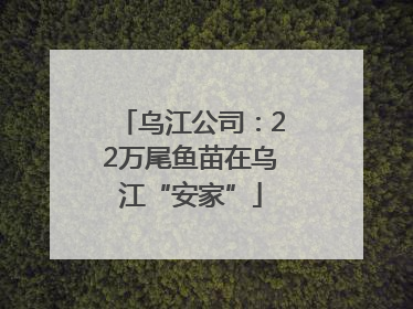 乌江公司：22万尾鱼苗在乌江“安家”