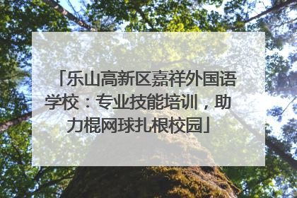 乐山高新区嘉祥外国语学校：专业技能培训，助力棍网球扎根校园