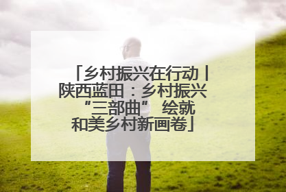 乡村振兴在行动丨陕西蓝田：乡村振兴 “三部曲” 绘就和美乡村新画卷
