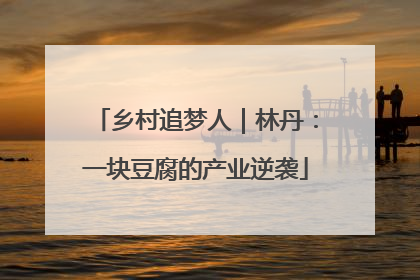 乡村追梦人｜林丹：一块豆腐的产业逆袭