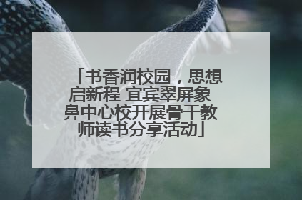书香润校园，思想启新程 宜宾翠屏象鼻中心校开展骨干教师读书分享活动