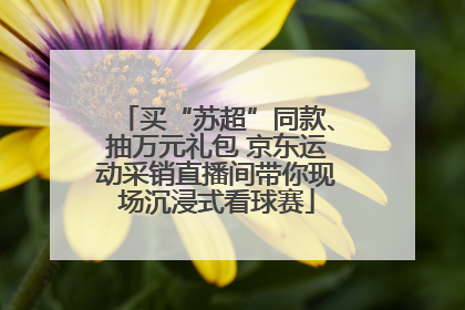 买“苏超”同款、抽万元礼包 京东运动采销直播间带你现场沉浸式看球赛