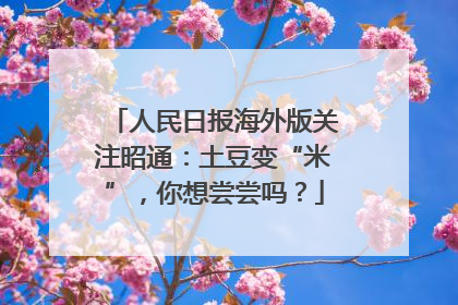 人民日报海外版关注昭通：土豆变“米”，你想尝尝吗？