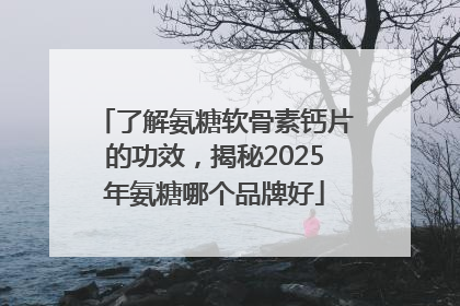 了解氨糖软骨素钙片的功效，揭秘2025年氨糖哪个品牌好