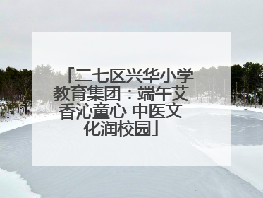 二七区兴华小学教育集团：端午艾香沁童心 中医文化润校园