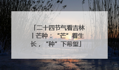 二十四节气看吉林丨芒种：“芒”着生长，“种”下希望