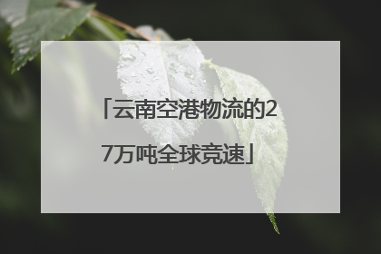 云南空港物流的27万吨全球竞速